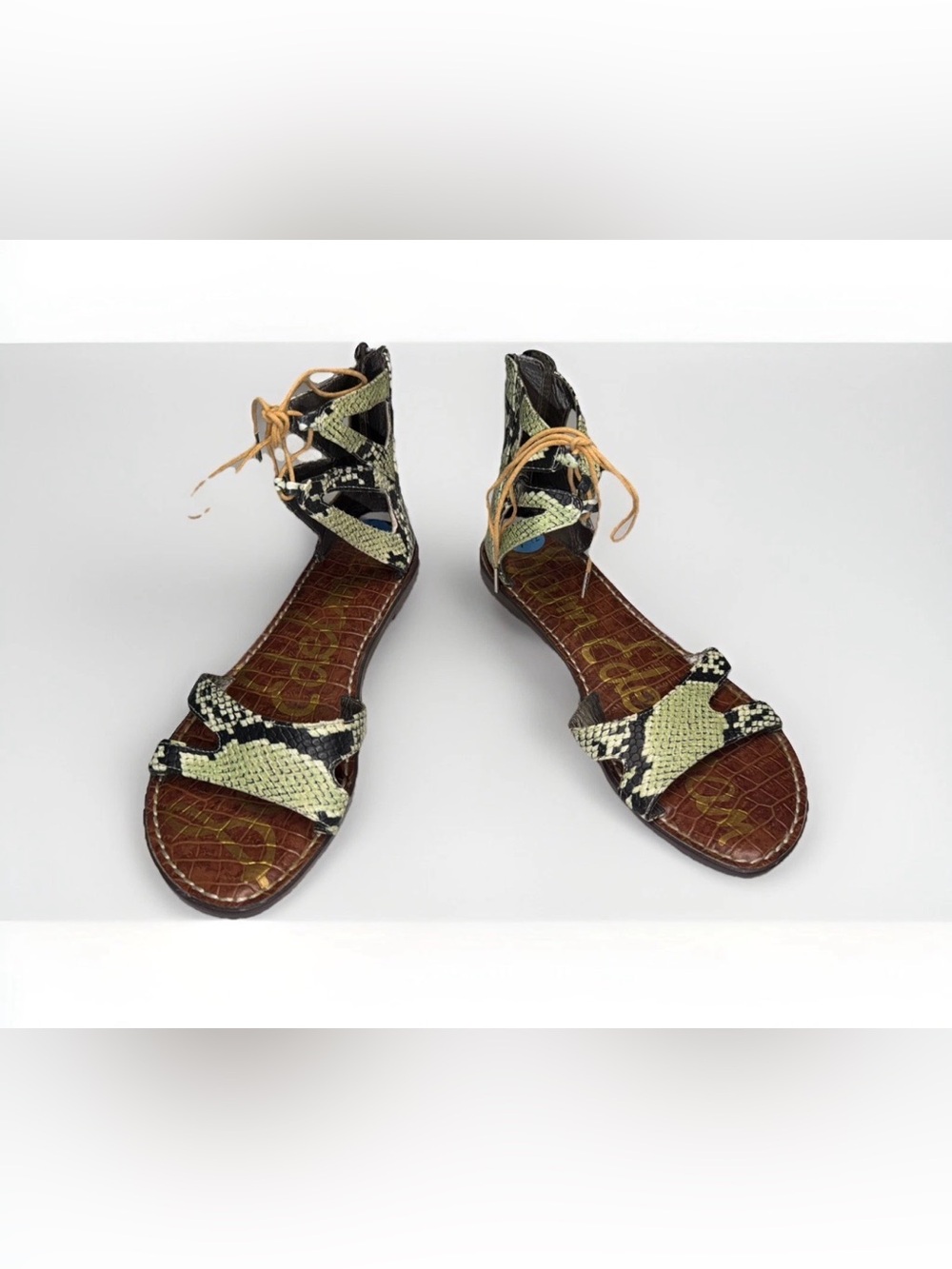 Sam Edelman Snake-Print Gladiator Sandals in Black, Green and Brown